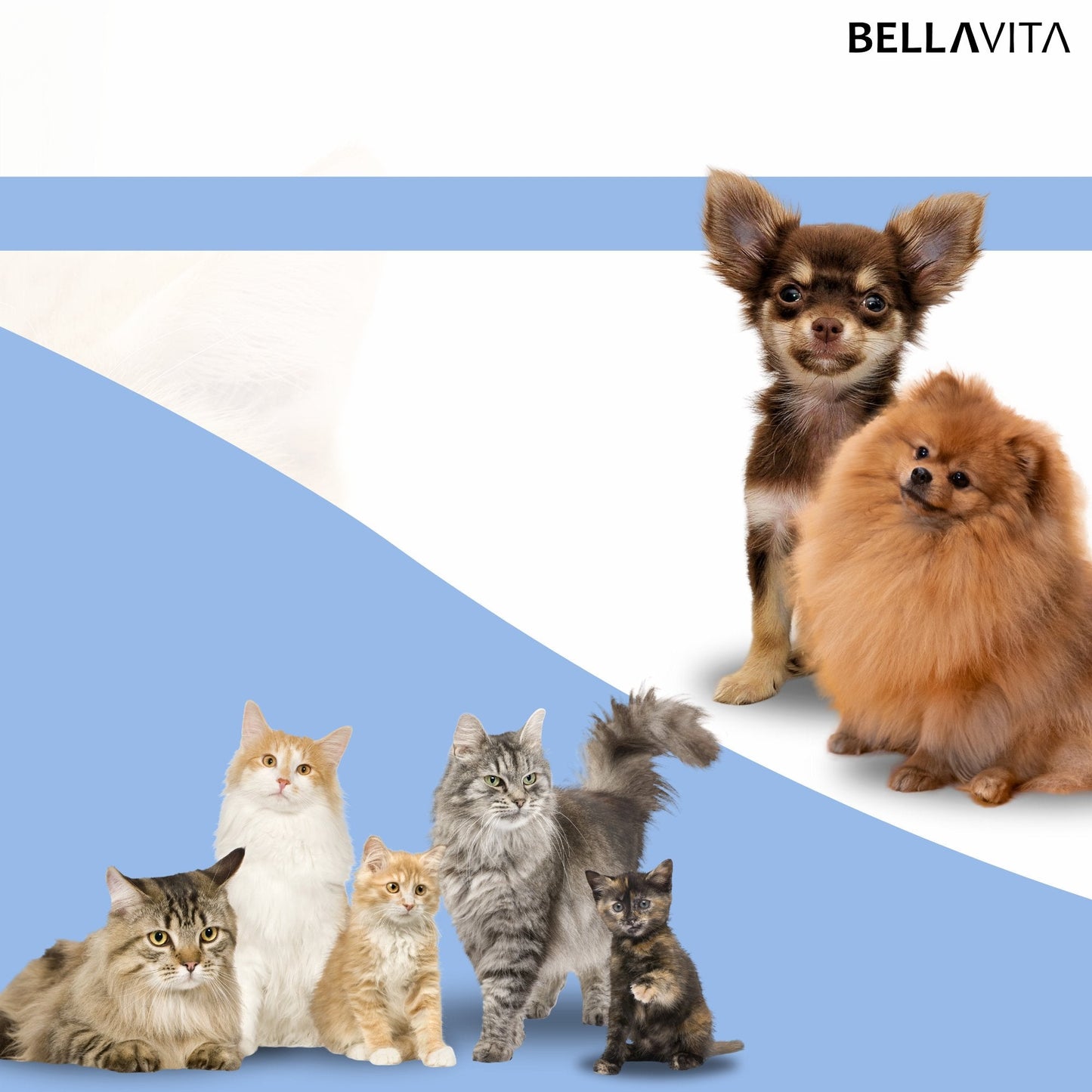 BELLAVITA® Drinkfontein - Waterfontein - Bellavita